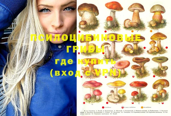 стафф Бородино