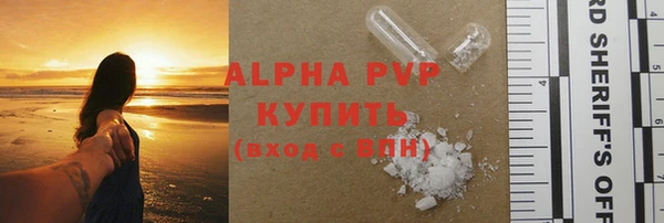 стафф Бородино