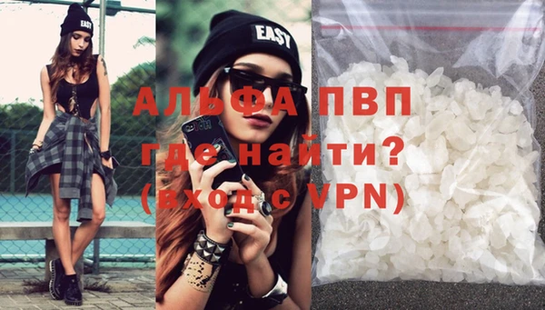 стафф Бородино
