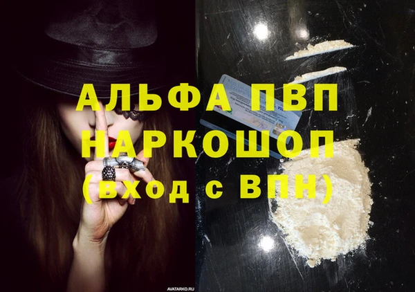 стафф Бородино