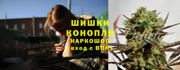стафф Бородино