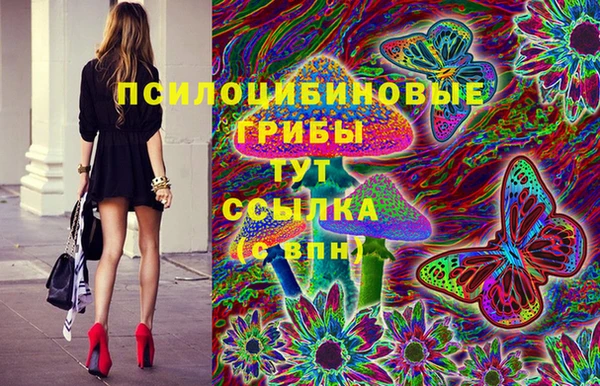 мдпв Бронницы