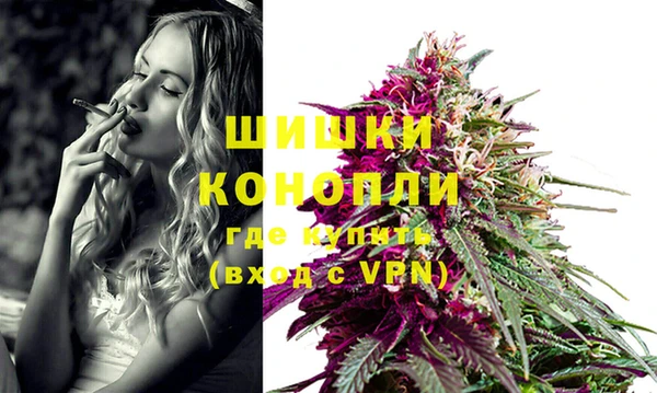 стафф Бородино