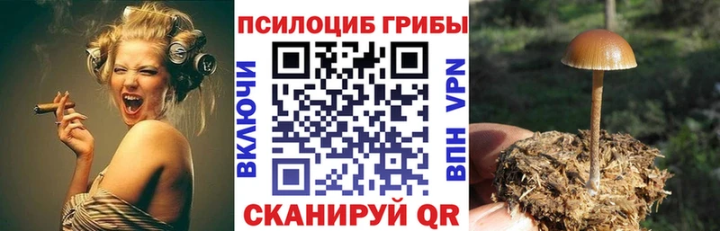 Псилоцибиновые грибы GOLDEN TEACHER Подольск